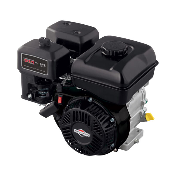 Briggs Stratton 550 Series Horizontal OHV Engine